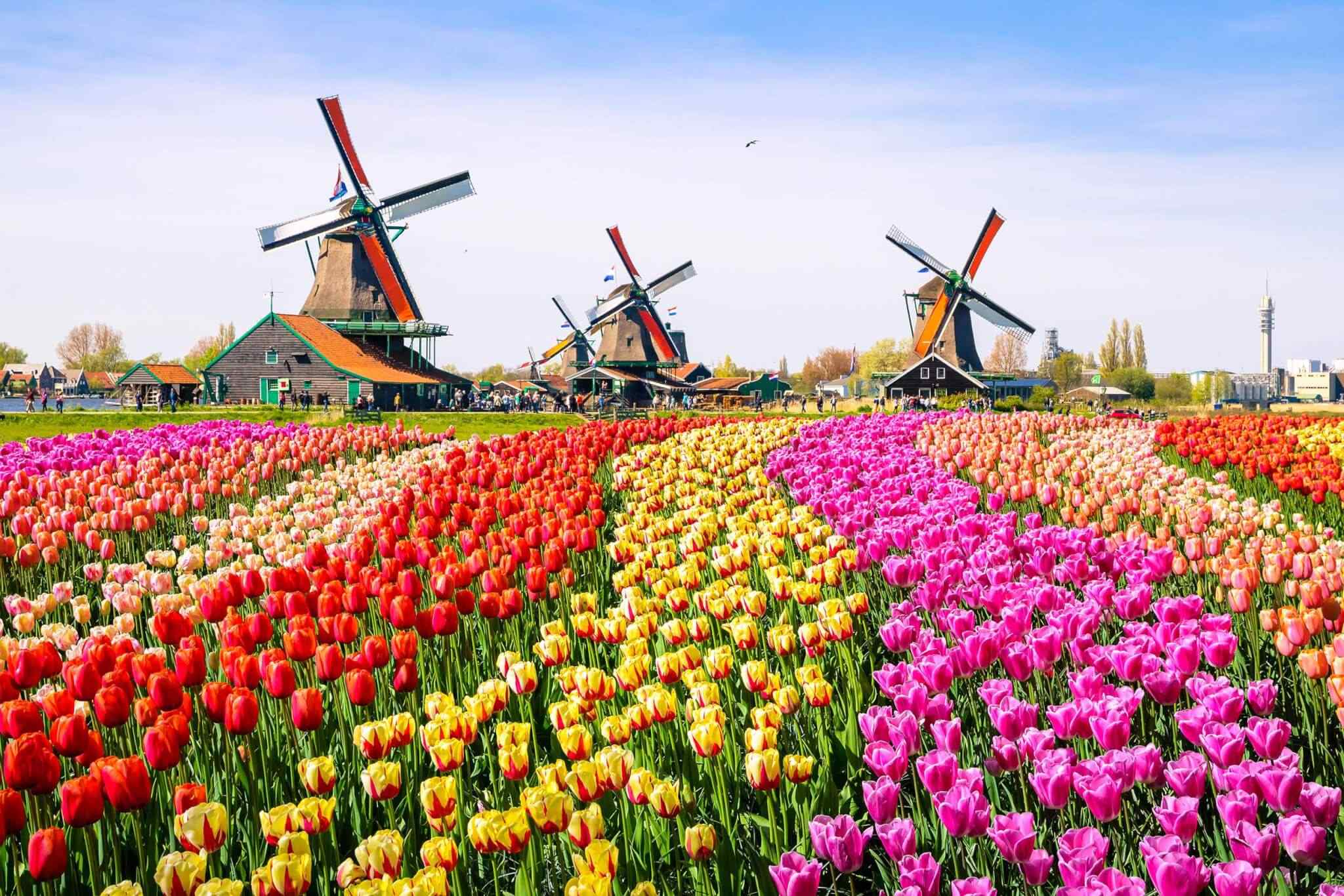 https://www.globaltravelplaners.com/wp-content/uploads/2018/09/destination-netherlands-01.jpg